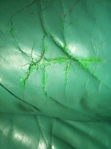 The results of a green do-it-yourself leather dye kit bought online