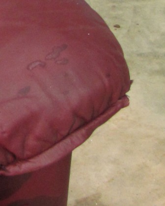 Leather sofa damaged by oil