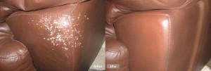 cat-scratches-leather-couch-repair