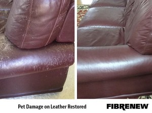 Pet Damage on Leather Sofa Restored 